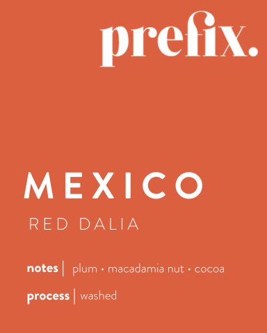 Mexico | Red Dalia